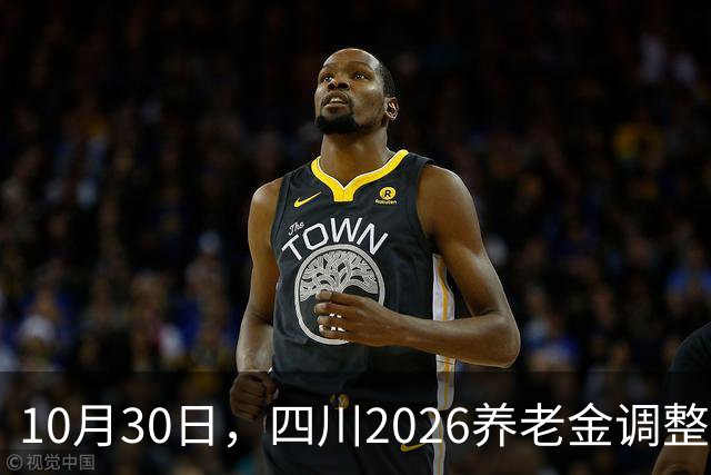 10月30日，四川2026养老金调整通知，官网现在是什么状态？